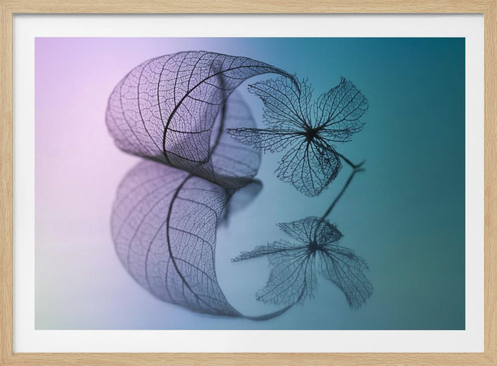 Storia di foglie e fiori | Poster - Stampe d’Arte