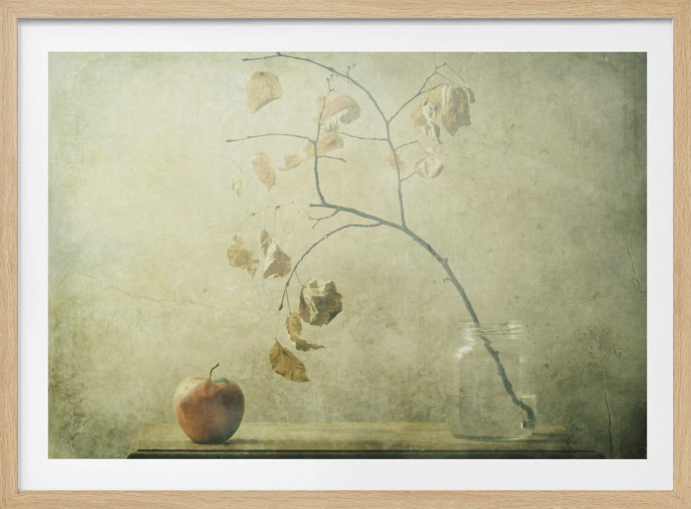 La Petite Chenille | Affiches