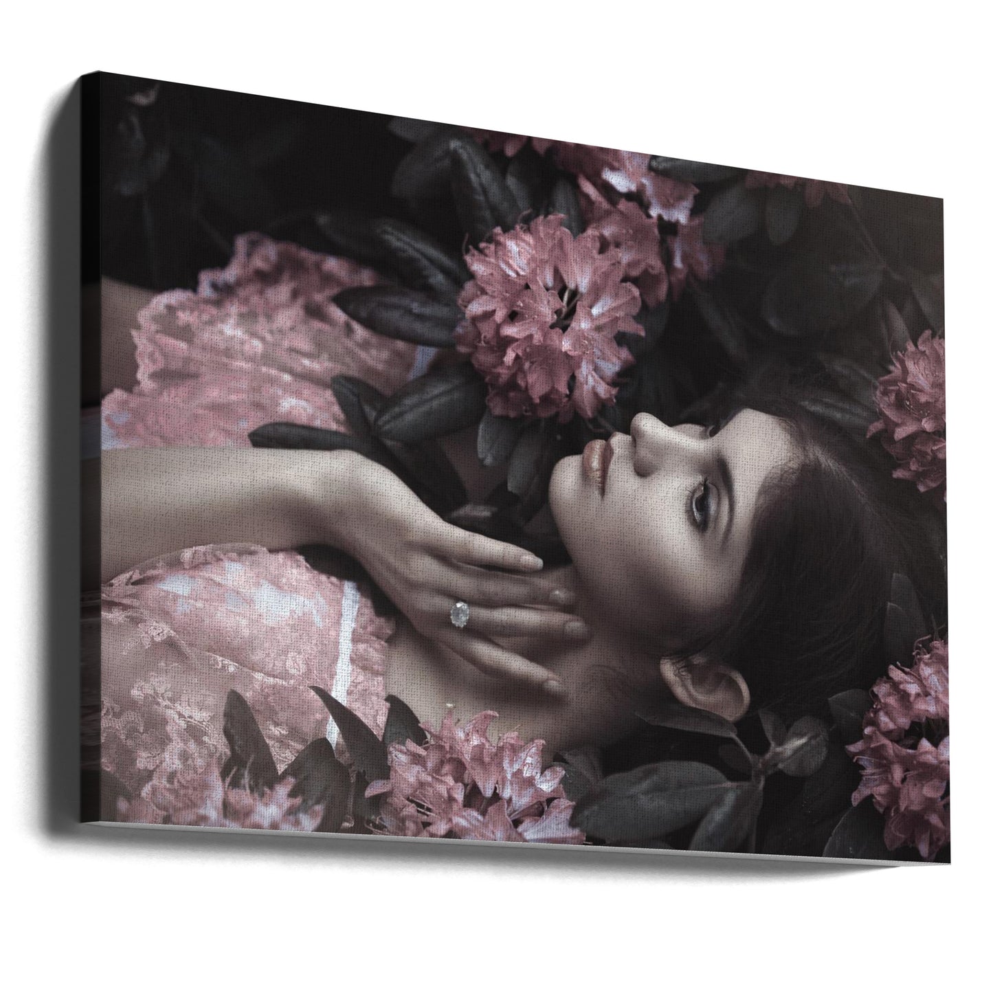 Joanna | Canvas