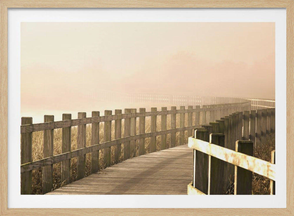 Le chemin s'éclaircit. | Affiches