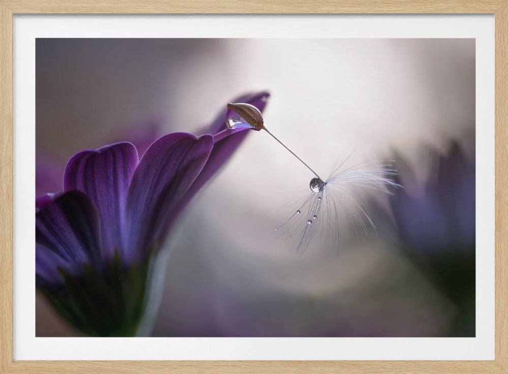 Purple Rain | Affiche