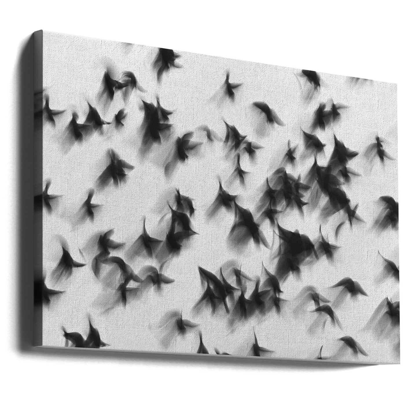 Birds | Canvas