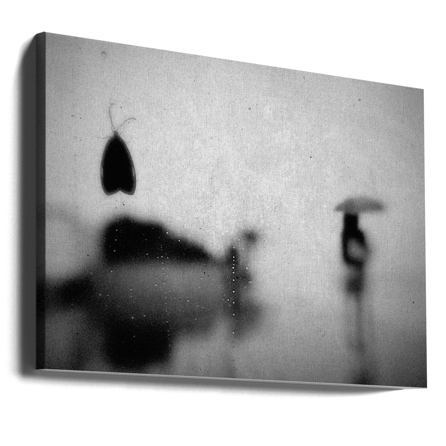 Untitled | Canvas