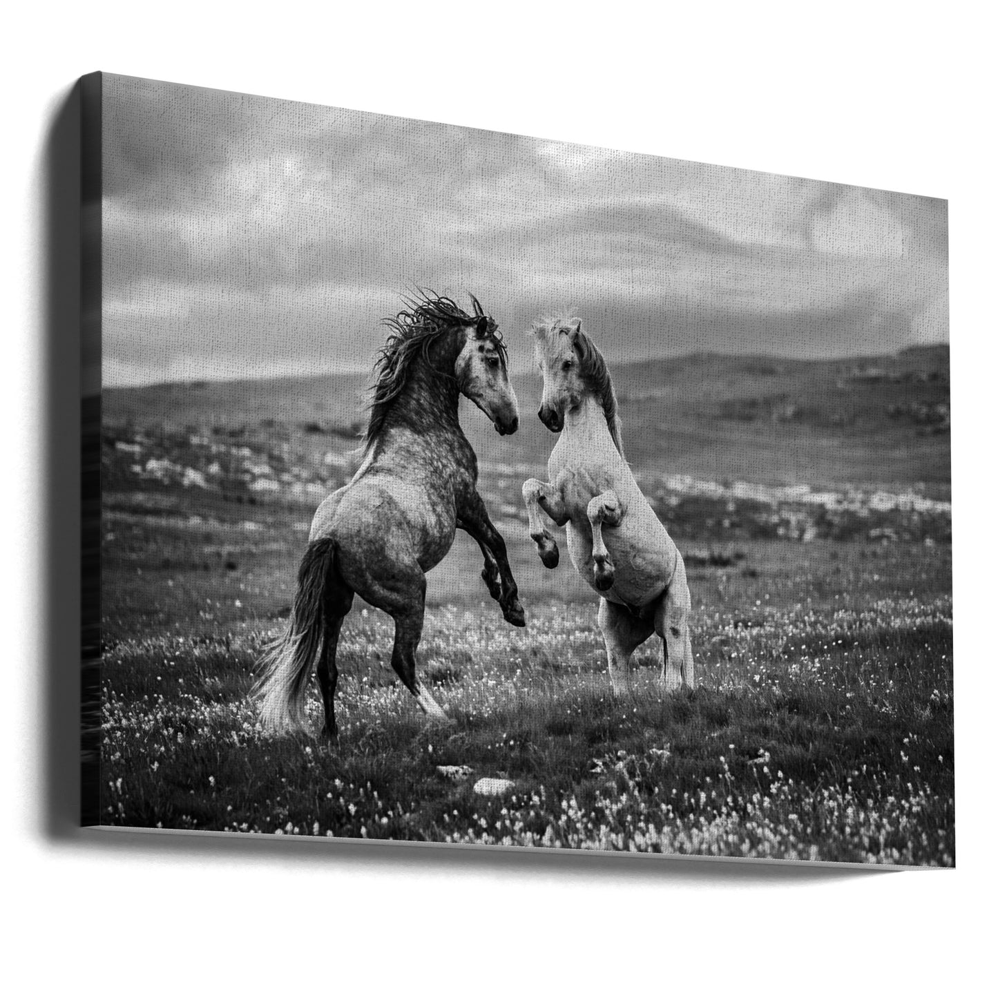 Wild and free | Canvas
