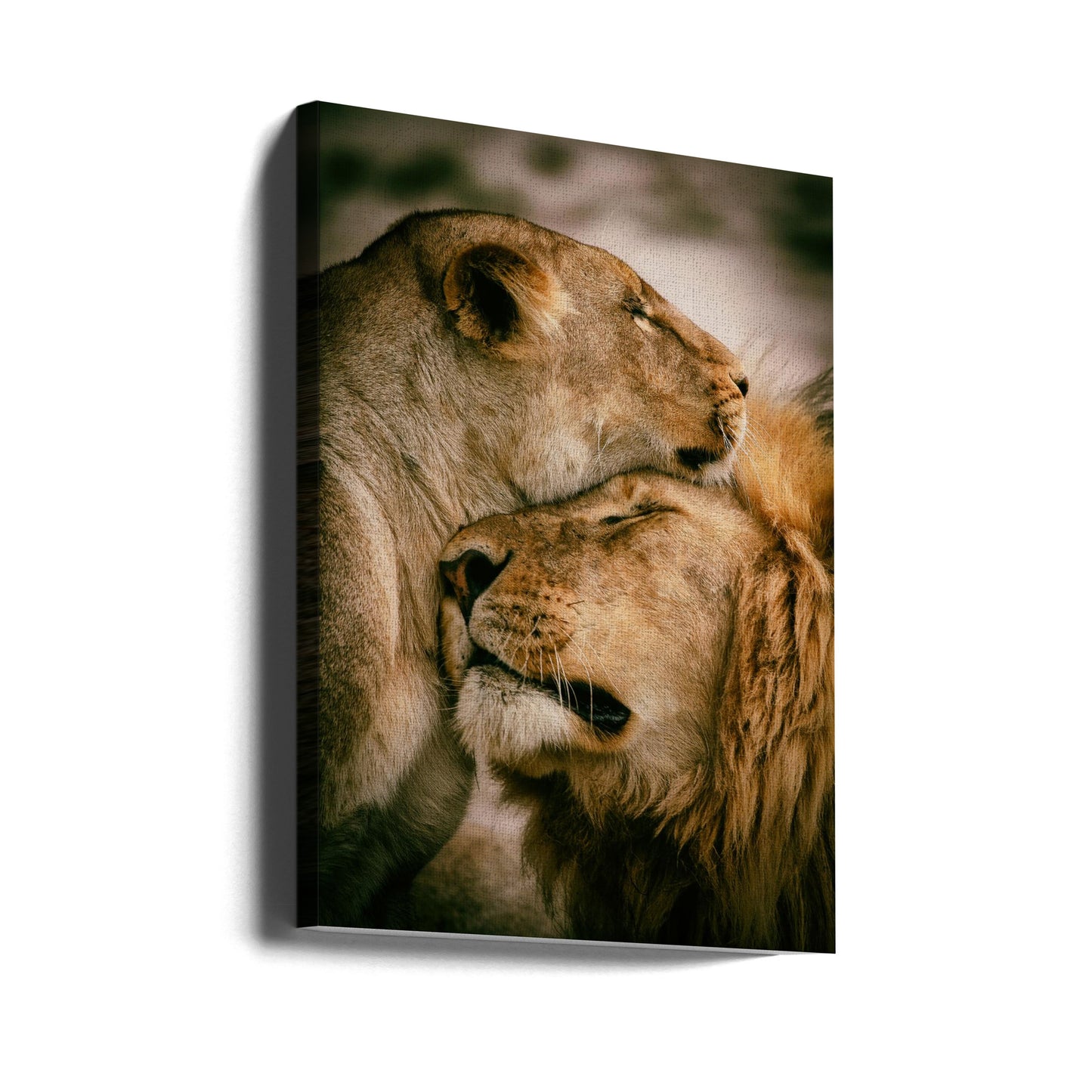 What is love | Canvas