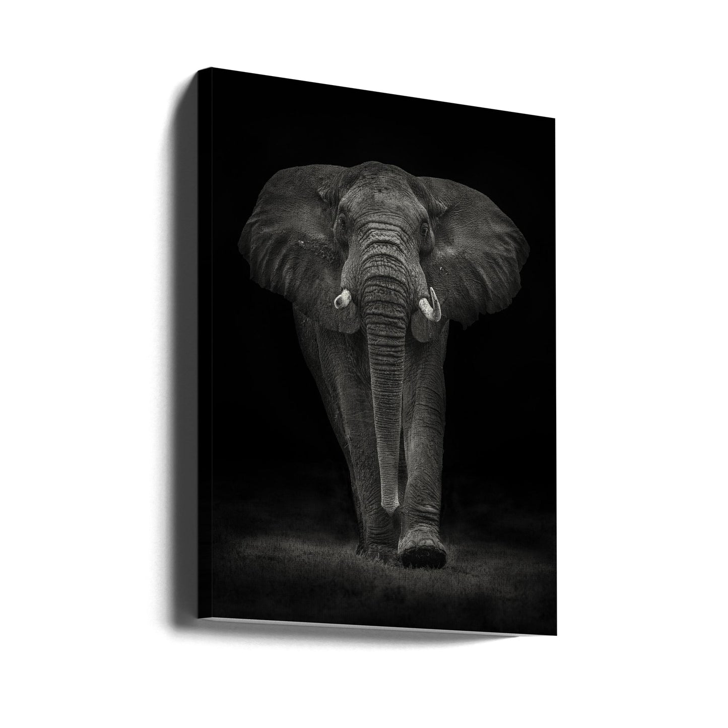 Ngorongoro Bull | Canvas