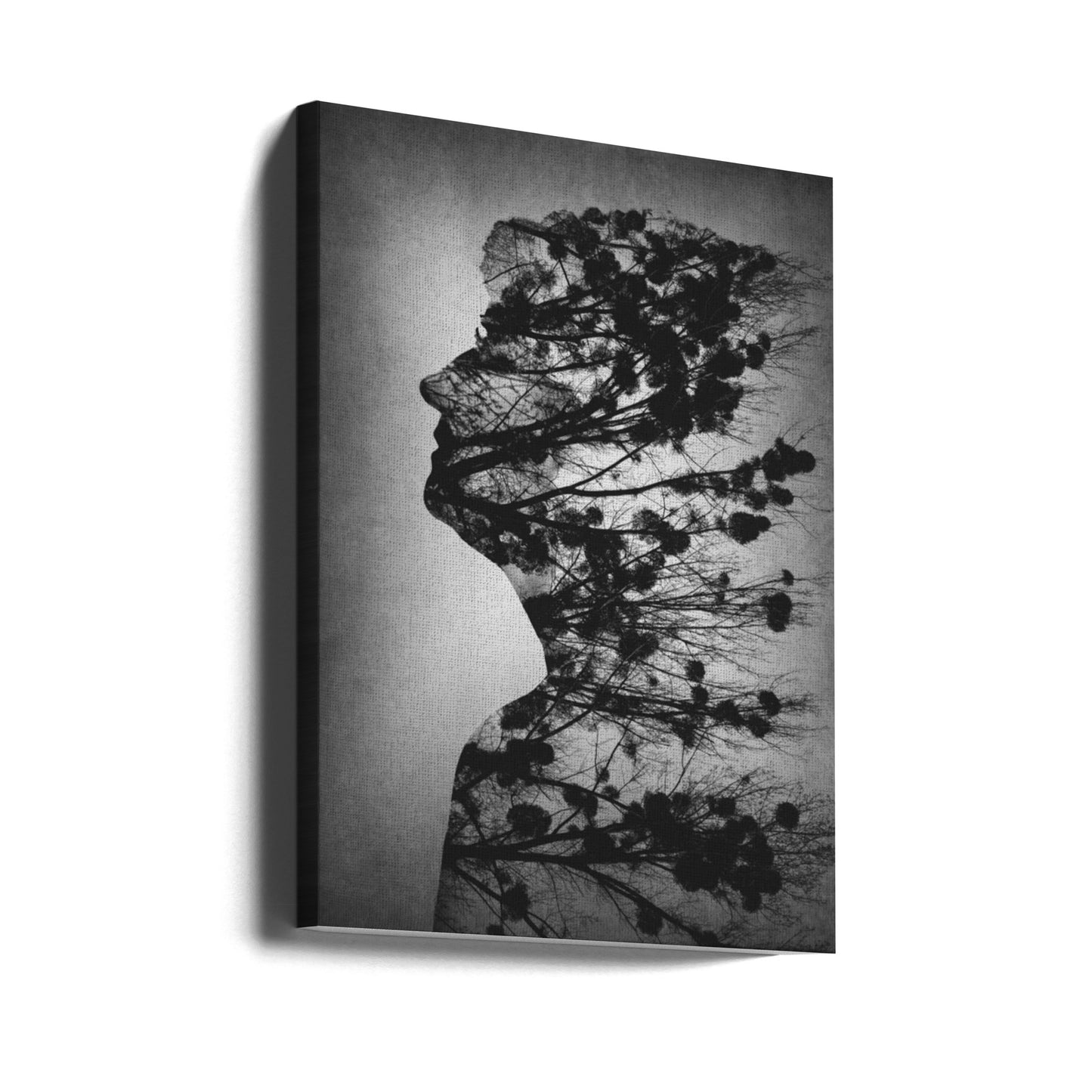 Essenz des Lebens | Leinwand-Bilder