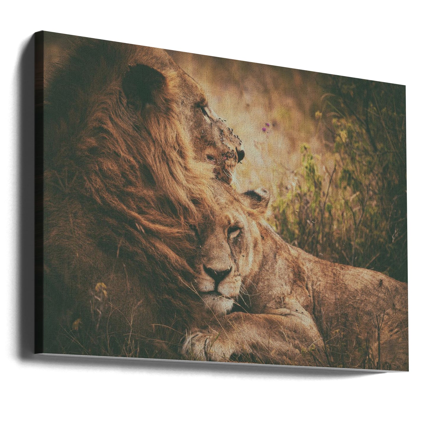 Vi "flyger" tillsammans | Canvas