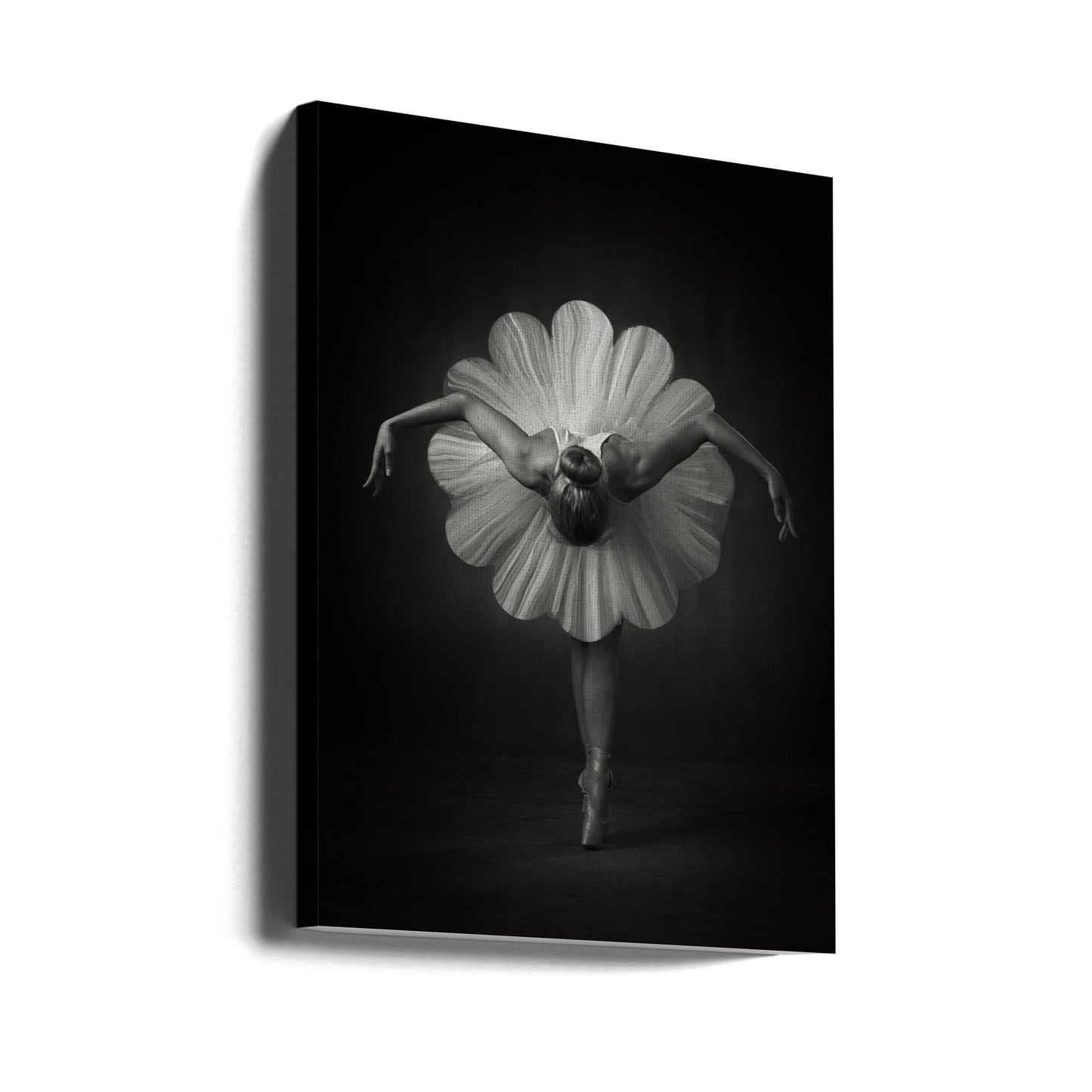 Blomsterbalett | Canvas