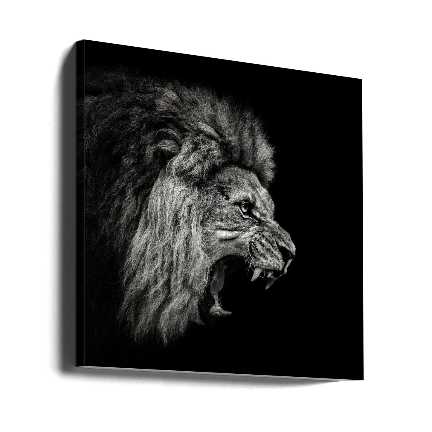 Roaring Lion #2 | Canvas