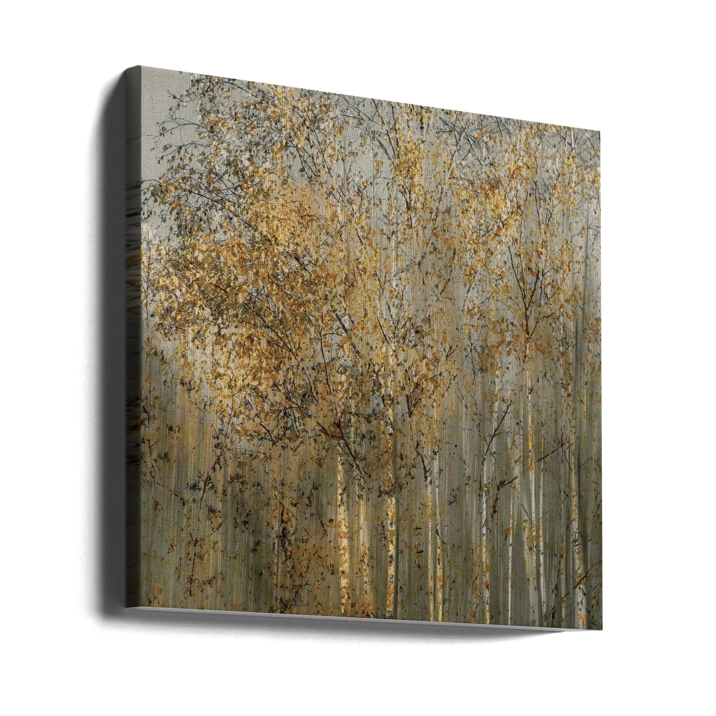 Björkavtryck | Canvas