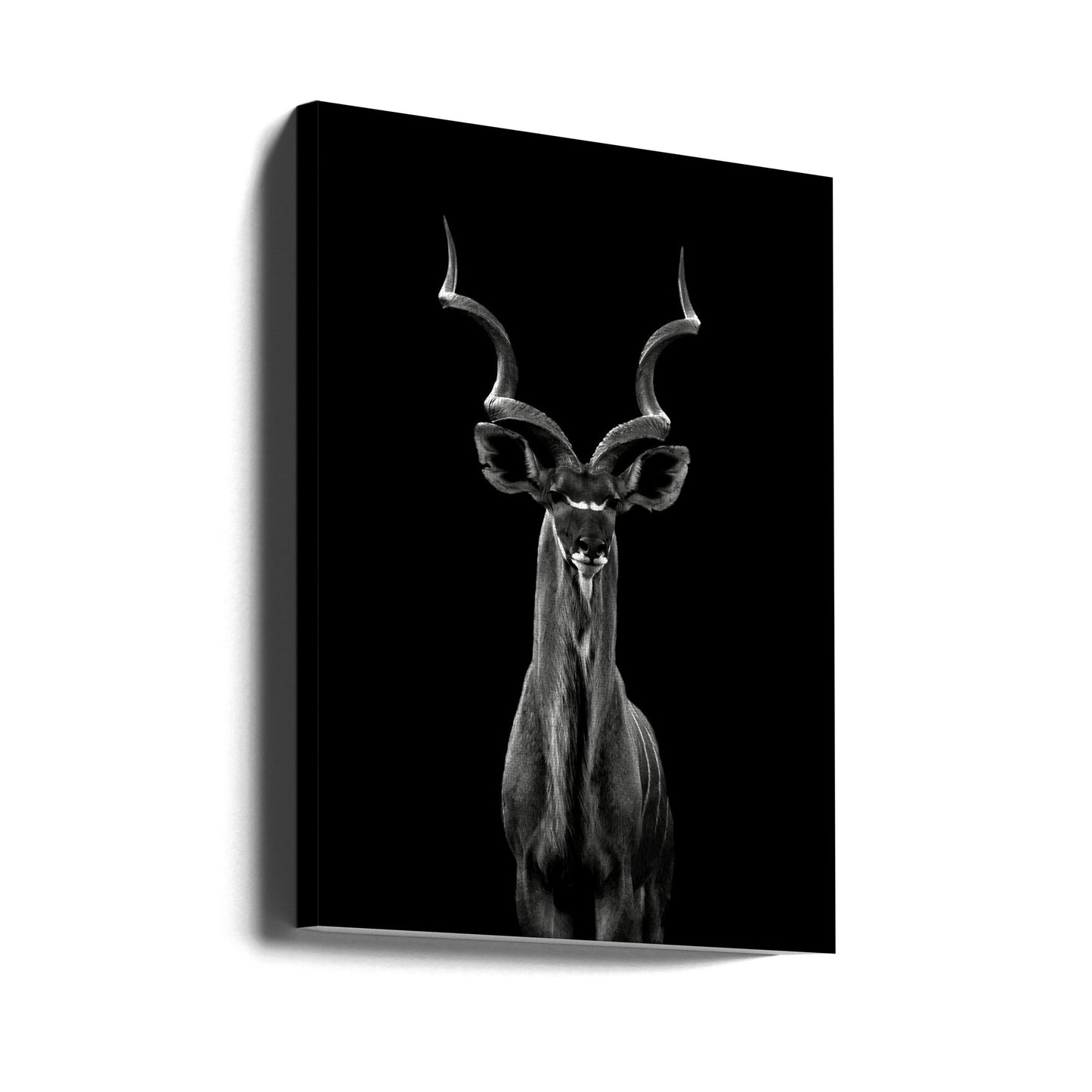 Greater Kudu | Canvas