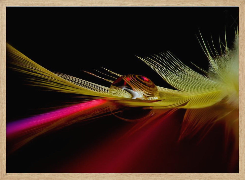Colores en la gota | Posters - Impresiones de Arte