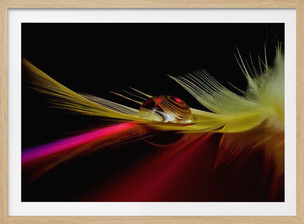 Colores en la gota | Posters - Impresiones de Arte