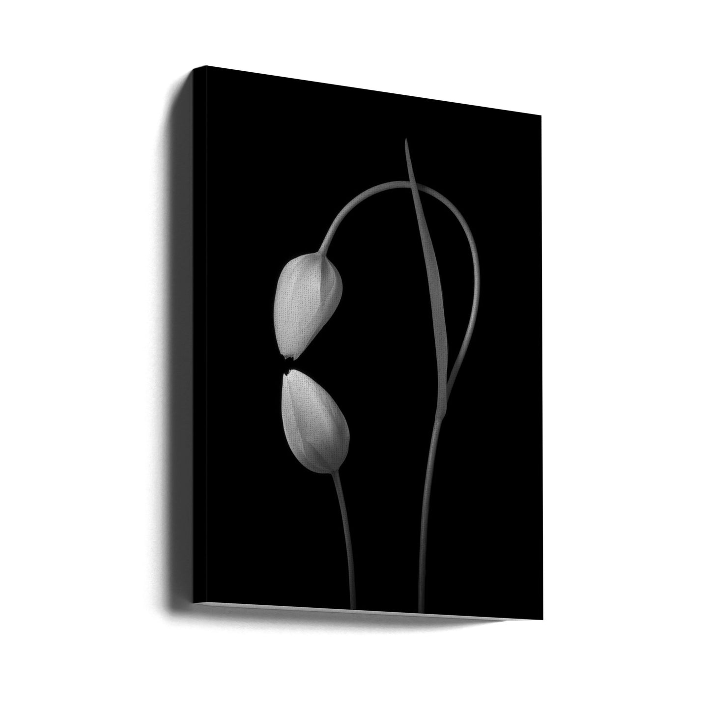 Love | Canvas
