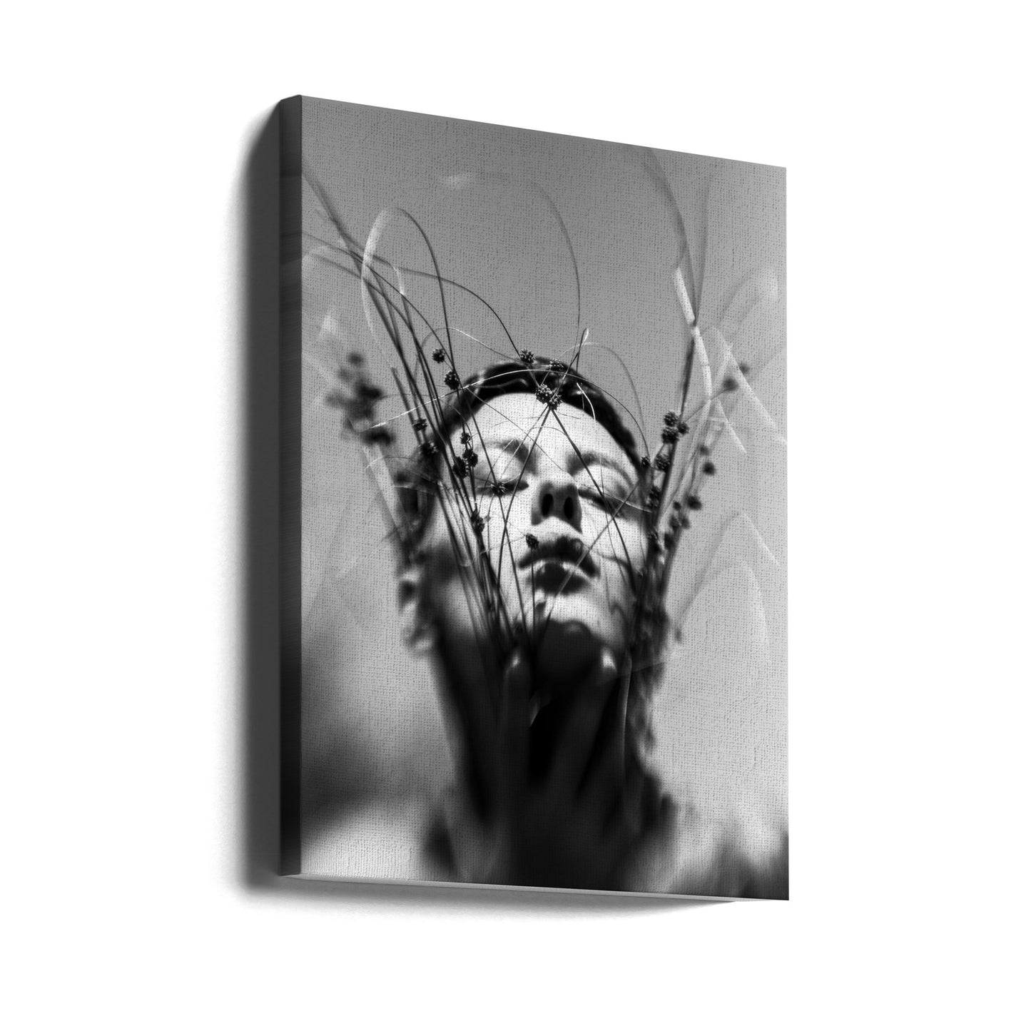 Ohne Titel | Leinwand-Bilder