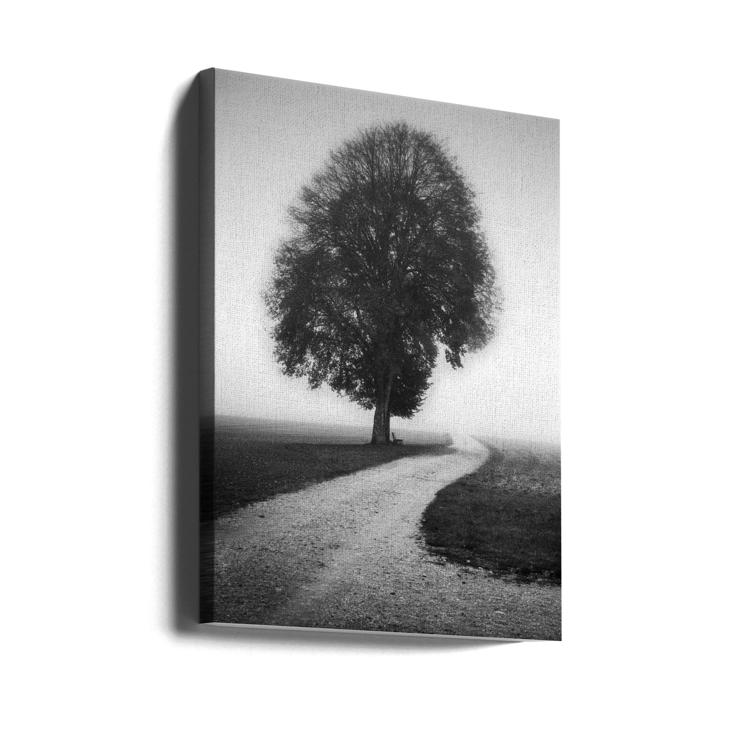 Poet | Canvas