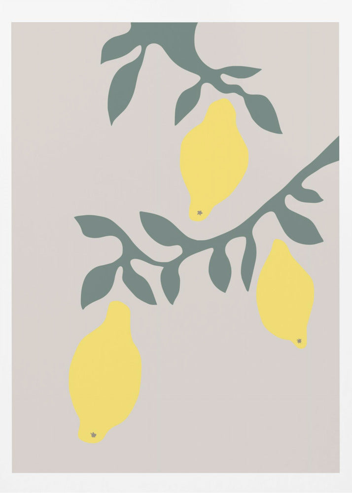 Citrons | Affiche