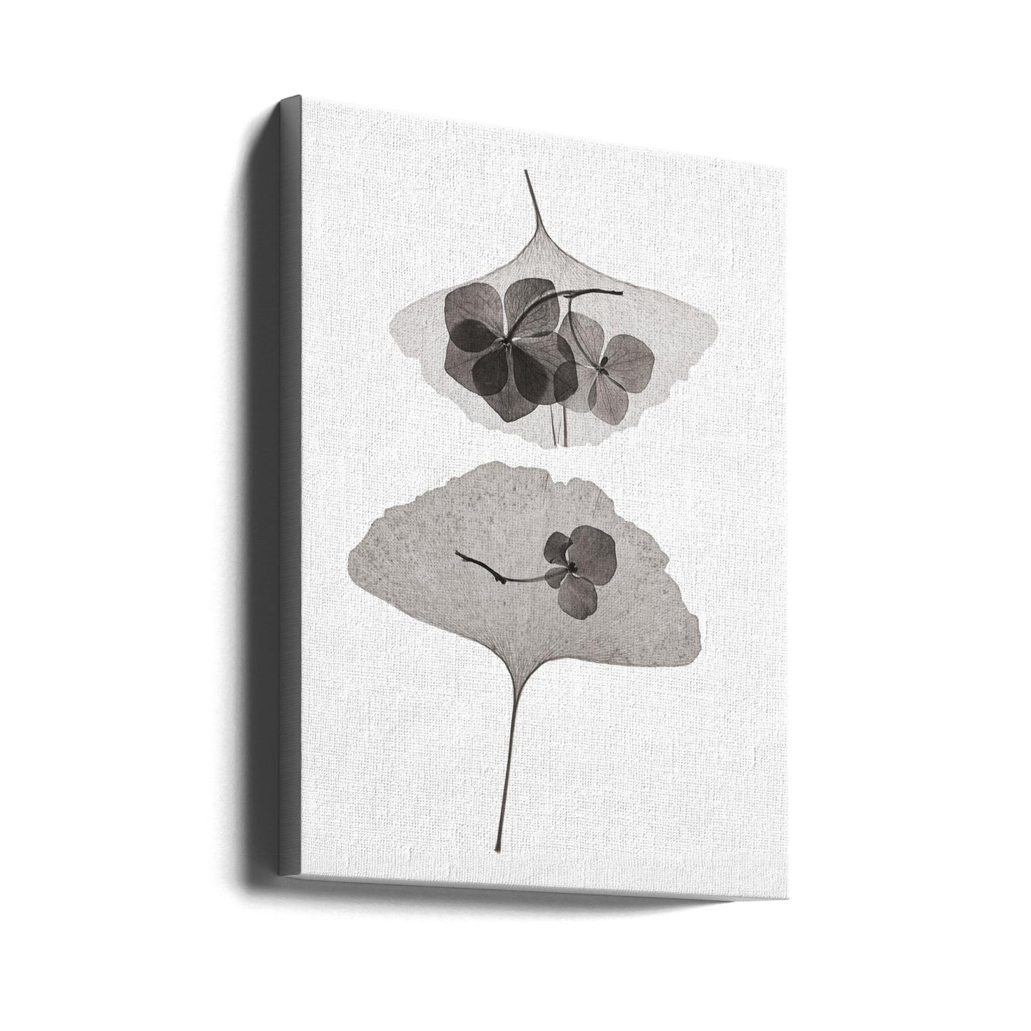 Botanisch Nr. 35 | Leinwand-Bilder