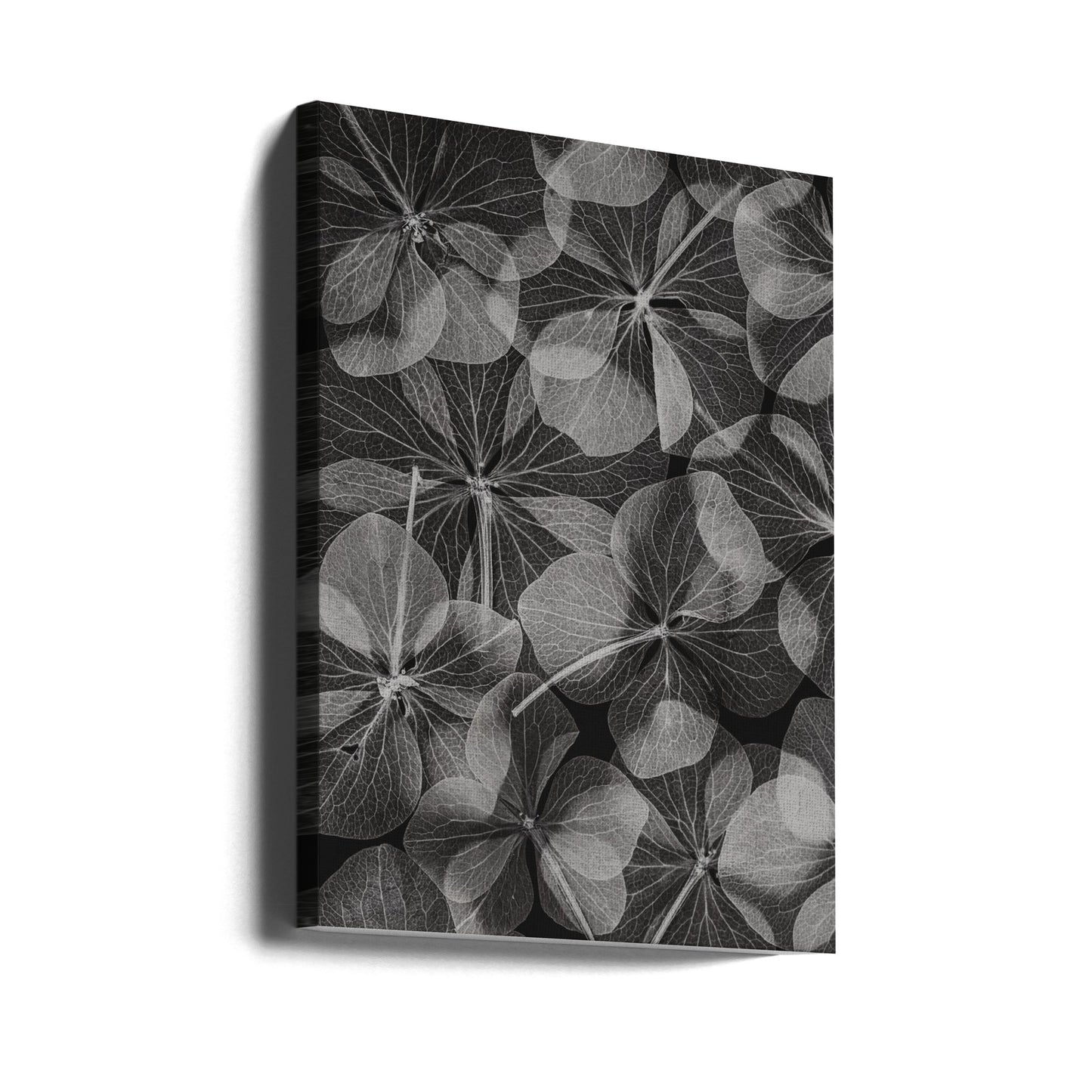 Botanisk #48 | Canvas