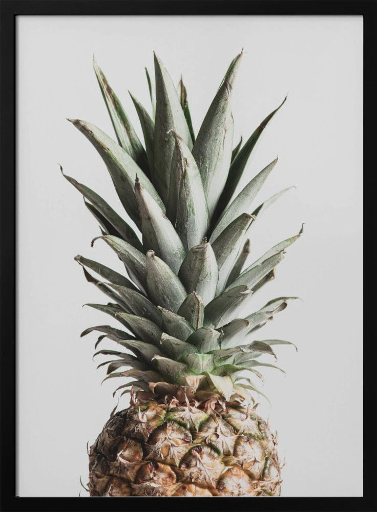 Ananas Natural | Julisteet - Taidevedokset