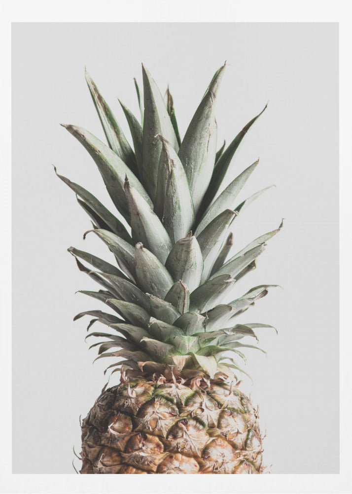 Ananas Naturel | Affiche