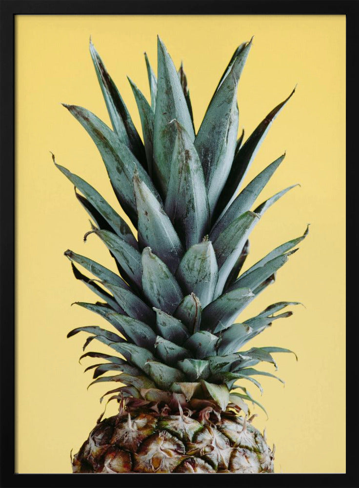 Ananas Jaune 01 | Posters - Affiche Artistique