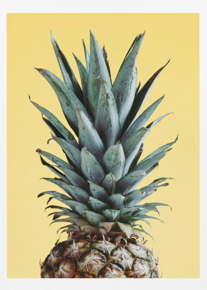 Ananas Jaune 01 | Posters - Affiche Artistique