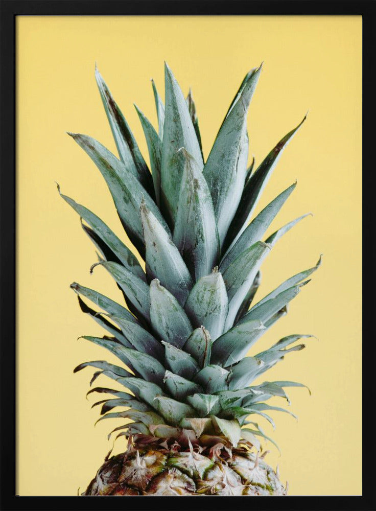 Ananas Żółty 03 | Plakaty - Wydruki Artystyczne