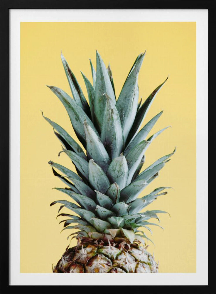 Ananas Żółty 03 | Plakaty - Wydruki Artystyczne