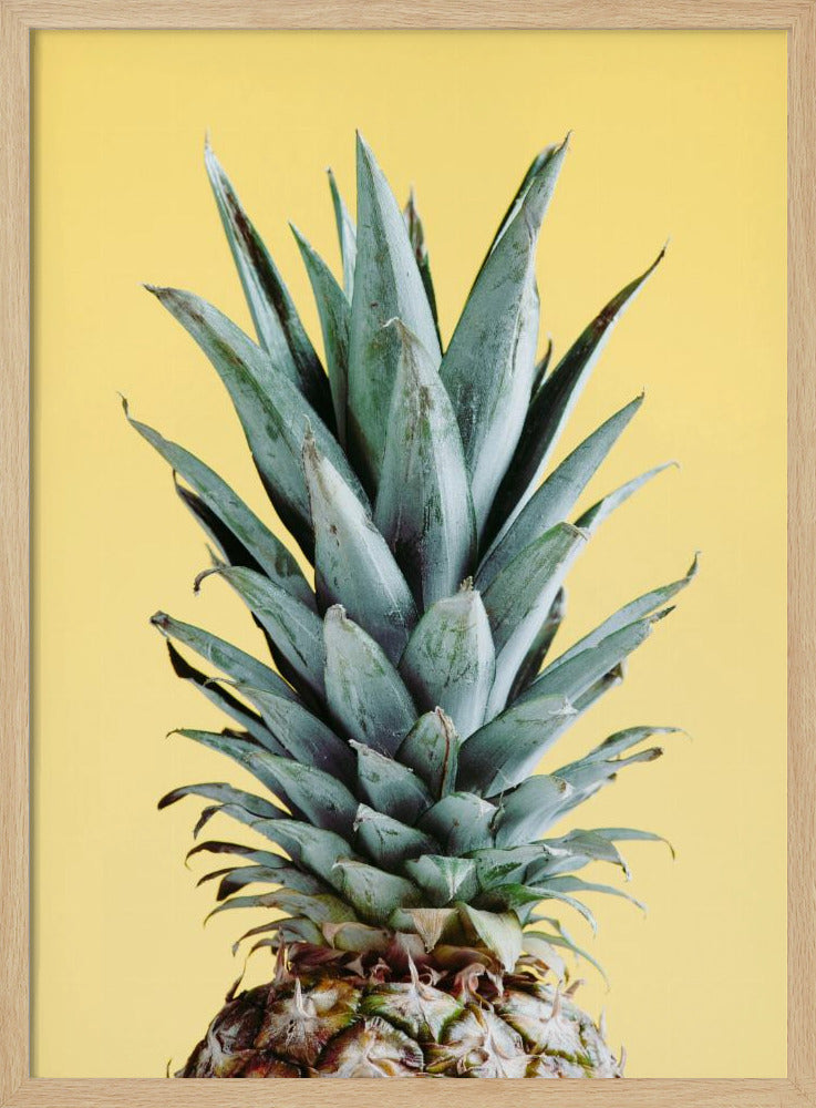 Ananas Żółty 03 | Plakaty - Wydruki Artystyczne