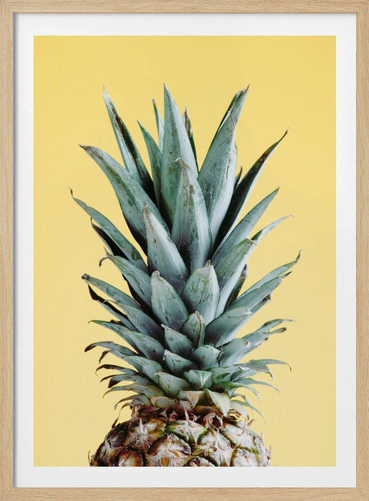 Ananas Żółty 03 | Plakaty - Wydruki Artystyczne