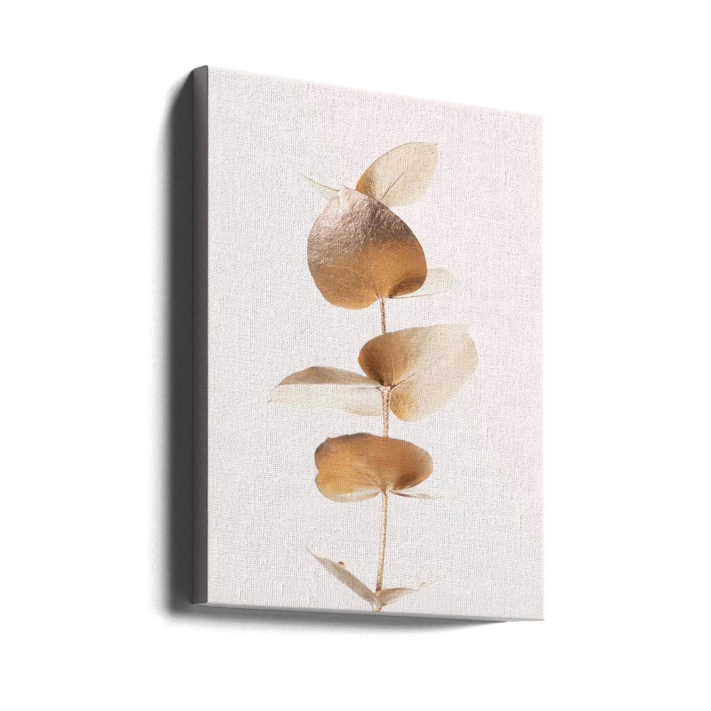 Eukalyptus Guld Nr 06 | Canvas