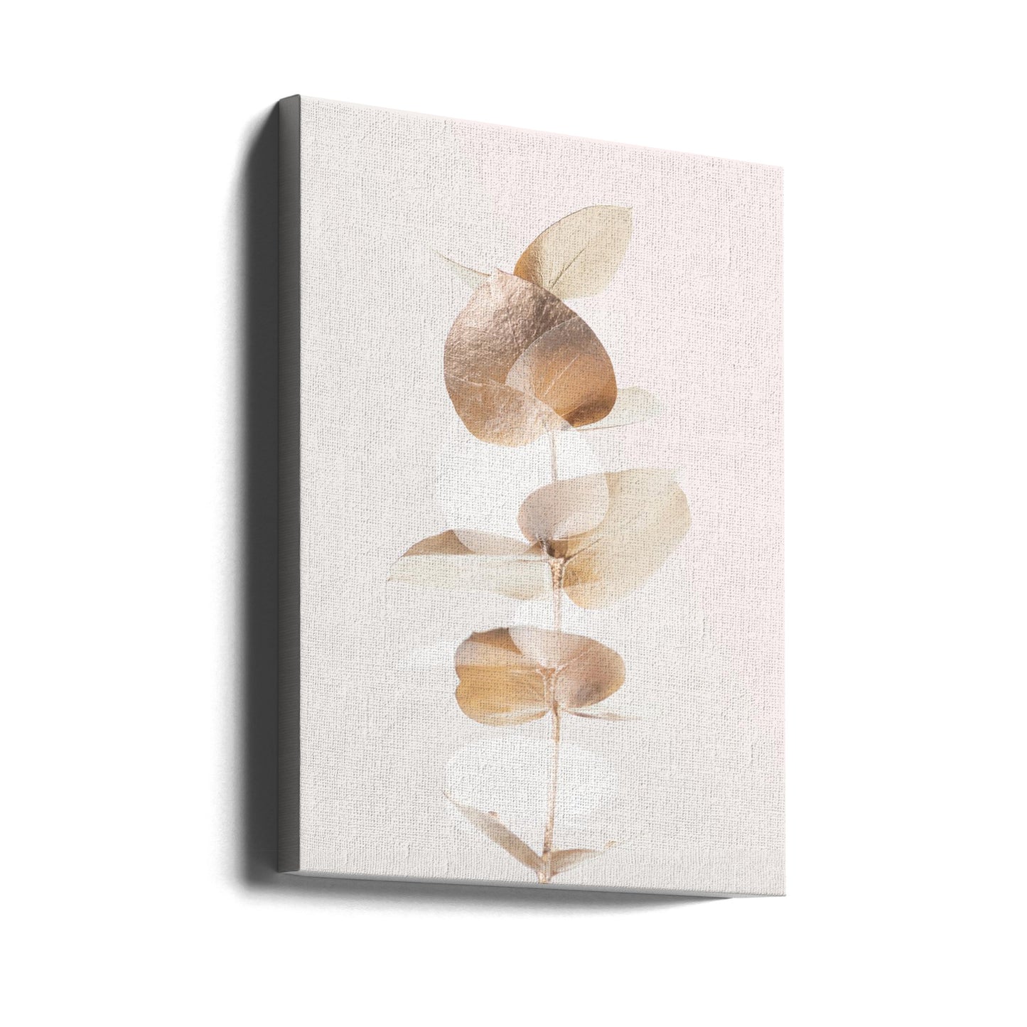 Eukalyptus Luova Kulta 04 | Canvastaulut