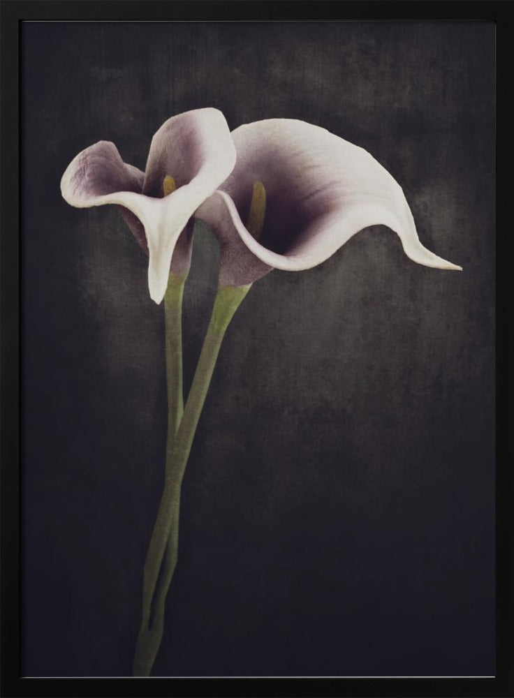 Bonded | Poster