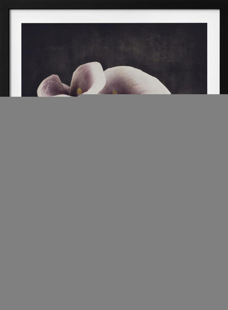 Bonded | Poster