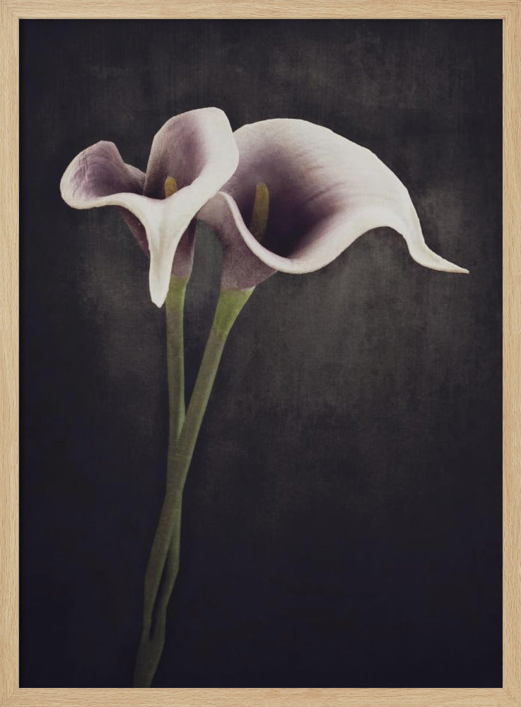 Bonded | Poster