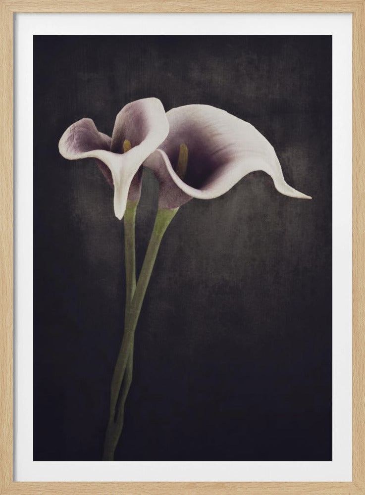 Bonded | Poster
