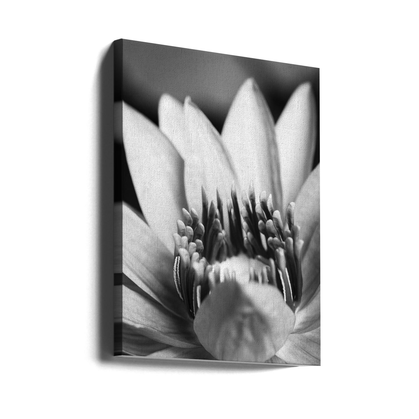 Blomma, närbild | Canvas