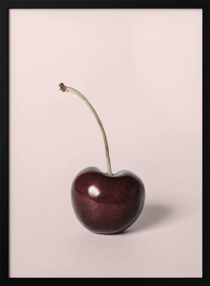 Single cherry | Poster