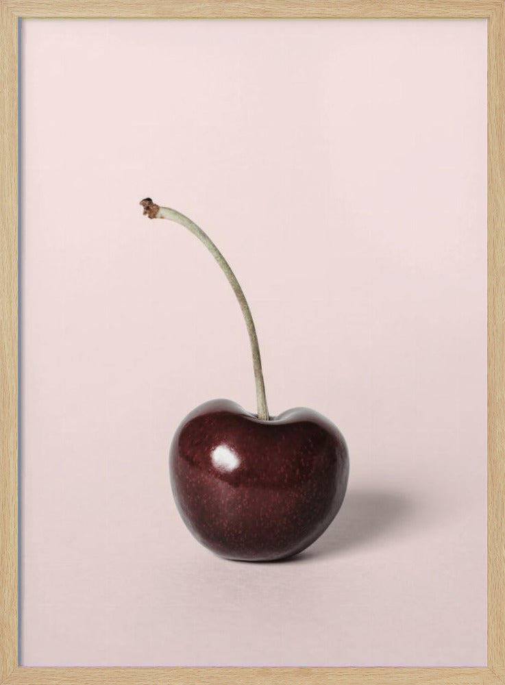 Single cherry | Poster
