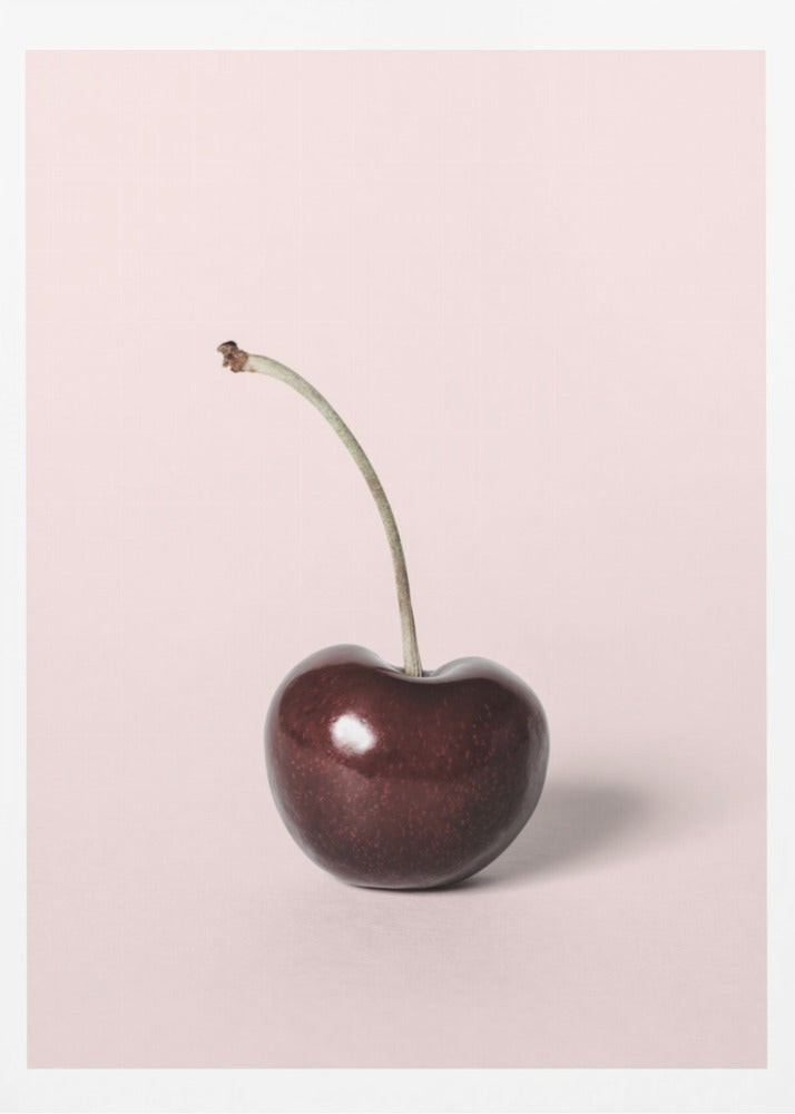 Single cherry | Poster