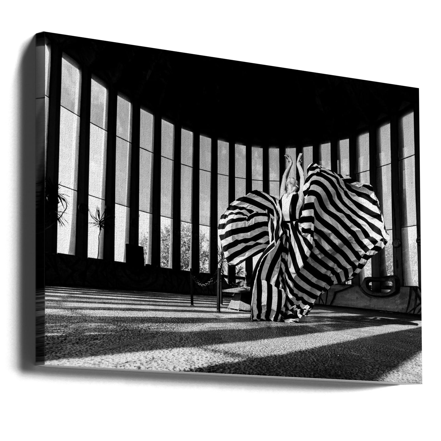 Untitled | Canvas