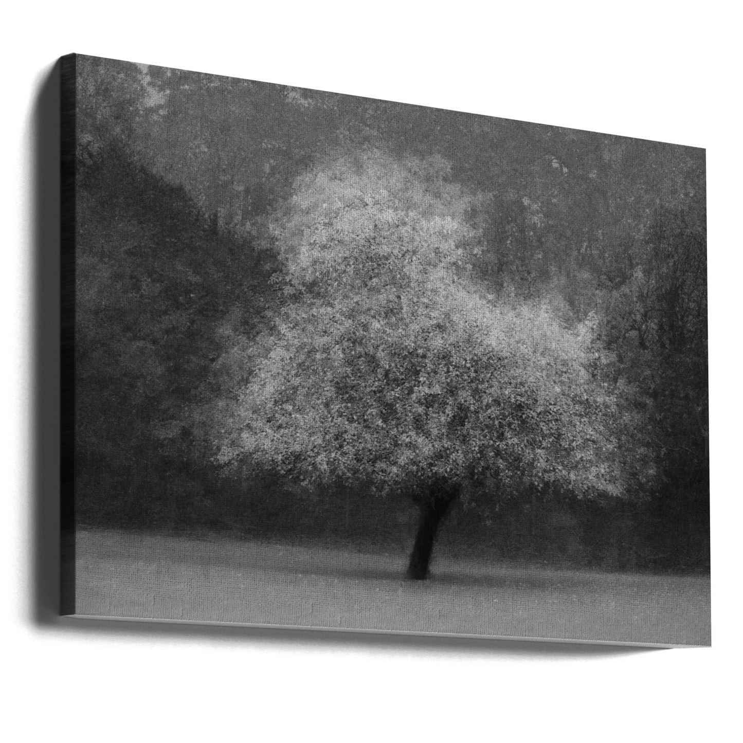 Trädmagi | Canvas