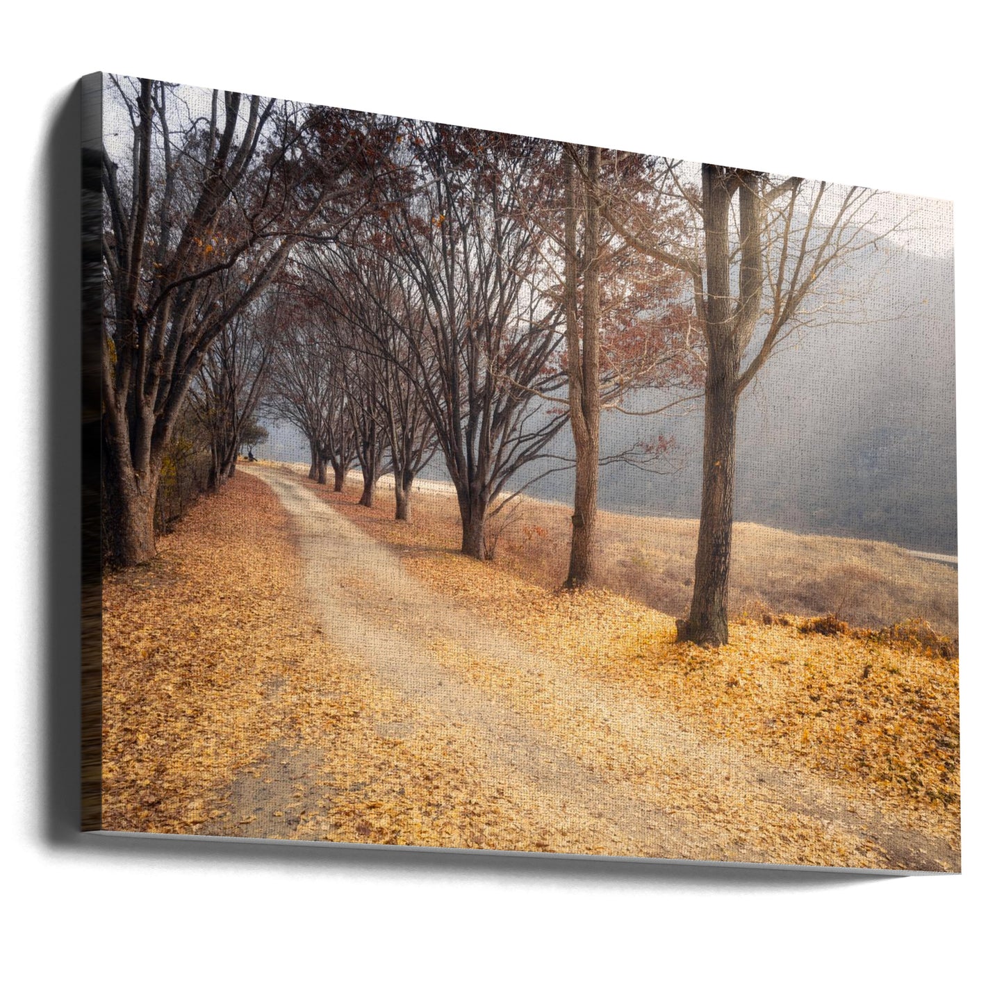 In the middle of autumn | Canvas