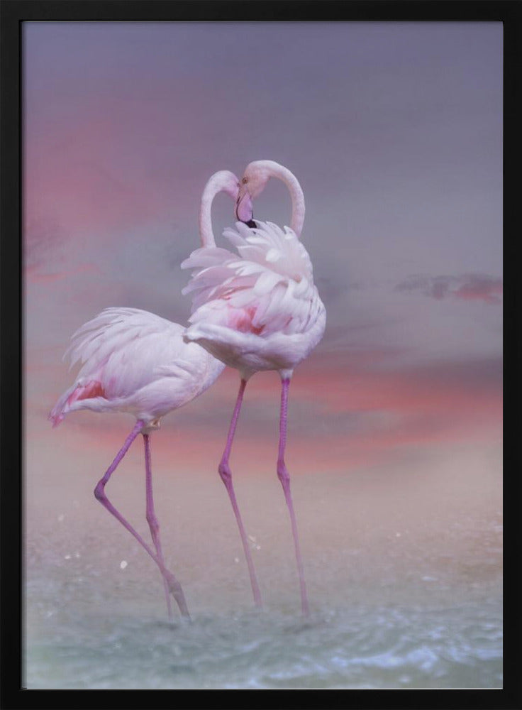 Flamingo Ballet | Poster