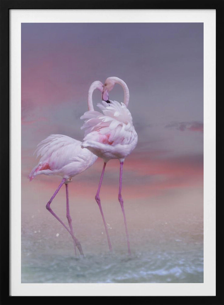 Flamingo Ballet | Poster
