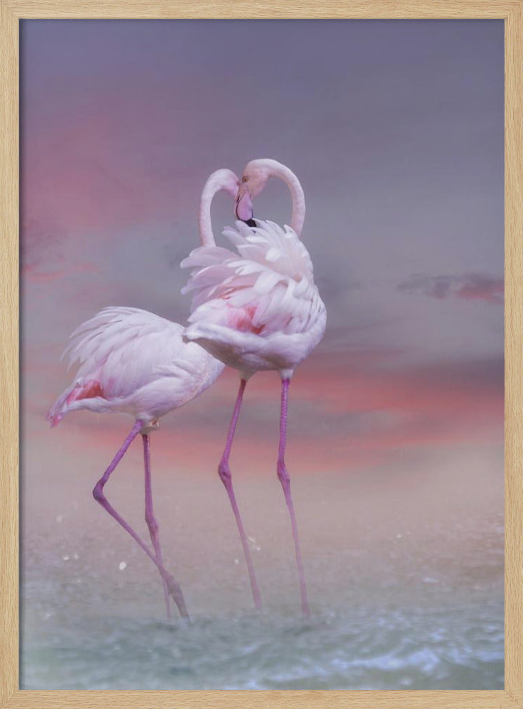 Flamingo Ballet | Poster