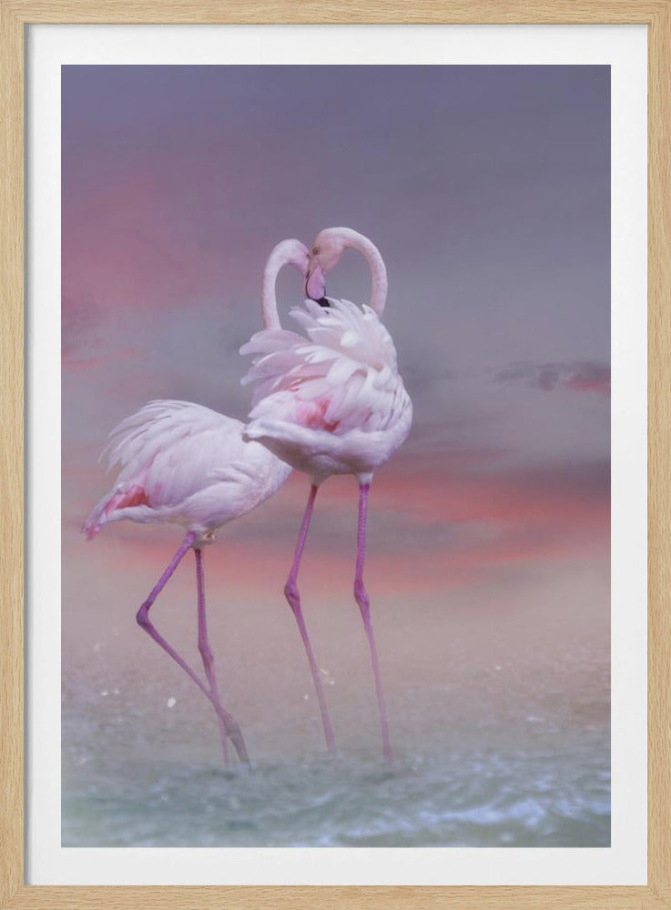Flamingo Ballet | Poster