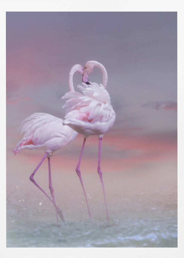 Flamingo Ballet | Poster